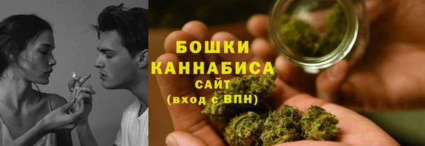 индика Майский