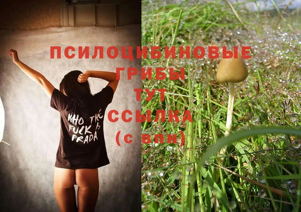 индика Майский