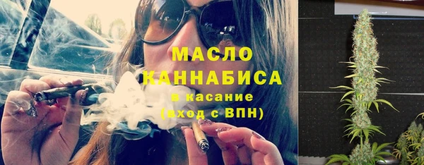 индика Майский