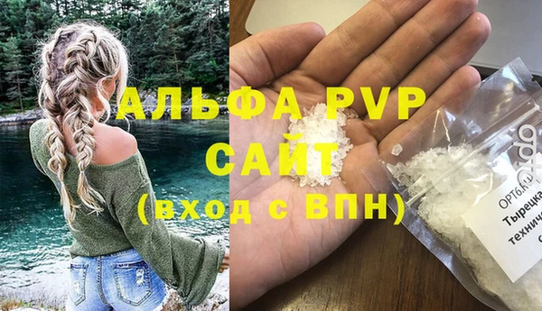 индика Майский