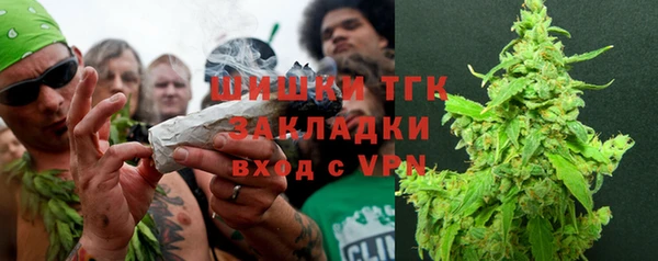 индика Майский