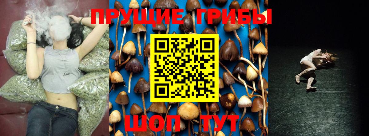 Копейск  Псилоцибиновые грибы MAGIC MUSHROOMS  Вход с VPN 