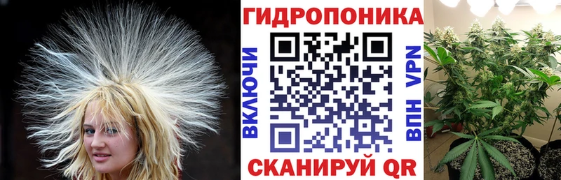 купить наркоту  Копейск  KRAKEN как войти  Шишки марихуана Bruce Banner 